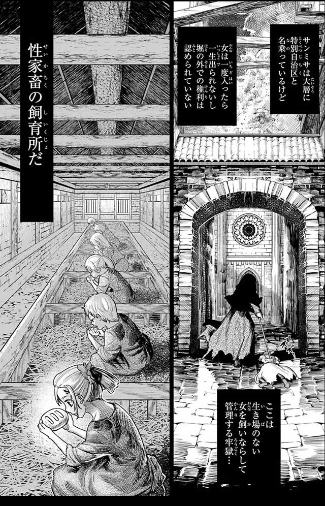 『血を這う亡国の王女』9