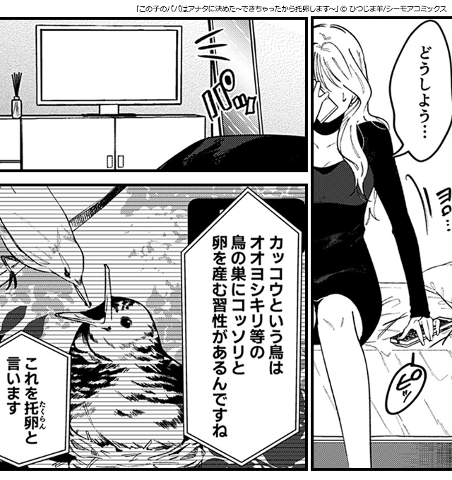 3この子のパパはアナタに決めた~できちゃったから托卵します~