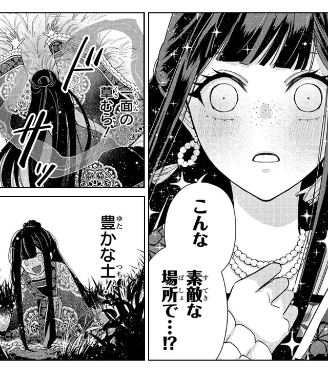 ふつつかな悪女ではございますが ～雛宮蝶鼠とりかえ伝～ ギャラコミ　無料漫画