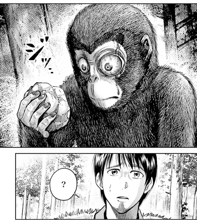 さるまね