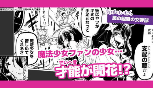 魔法少女ファンの内気な少女がサディスティックに大変身！！『魔法少女にあこがれて』