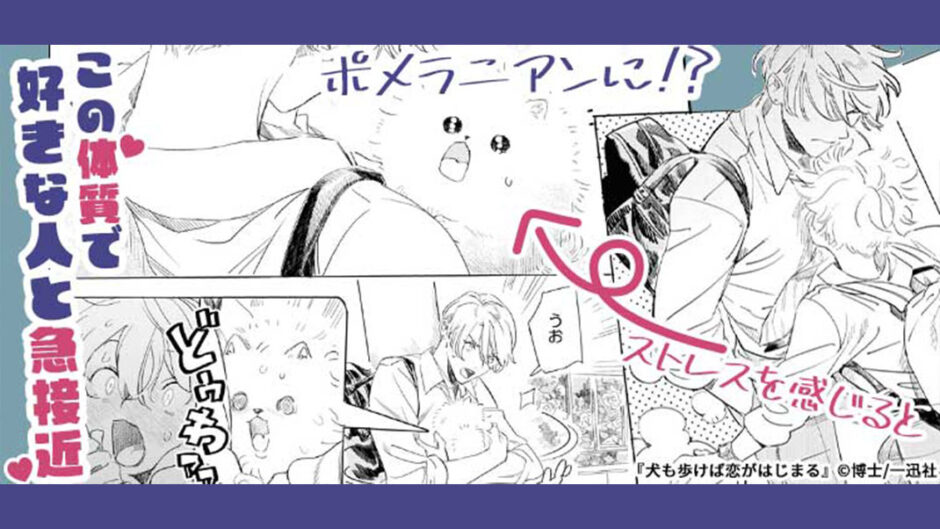 『犬も歩けば恋がはじまる』バナー