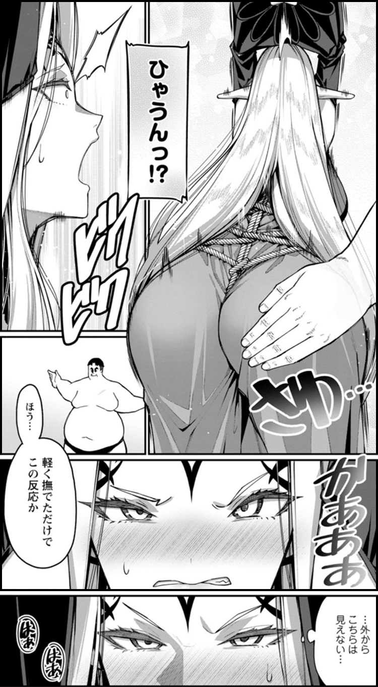 ハーレム王の異世界プレス漫遊記 ~最強無双のおじさんはあらゆる種族を嫁にする~(コミック)
