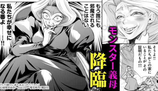 モンスター義母と腹黒異母妹に居場所を奪われた令嬢の運命は…『ただ静かに消え去るつもりでした』